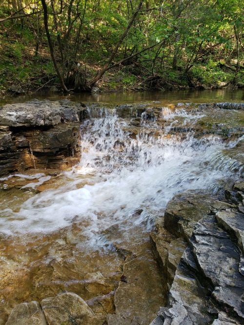 A serene stream flows over rocky terrain, surrounded by lush green trees and natural scenery.