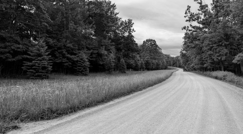 A winding gravel road surrounded by trees and tall grass, captured in black and white.