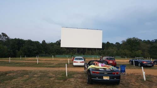 A drive-in movie theater with cars parked in front of a large blank screen, surrounded by trees and open space.