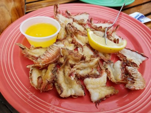 A plate of fried fish pieces with a lemon wedge and a small cup of yellow dipping sauce.