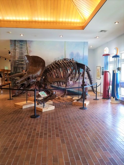 A dinosaur skeleton displayed indoors, with vintage gas pumps and a mural in the background.