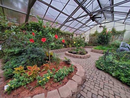 A lush greenhouse filled with vibrant flowers, greenery, and a winding stone path.