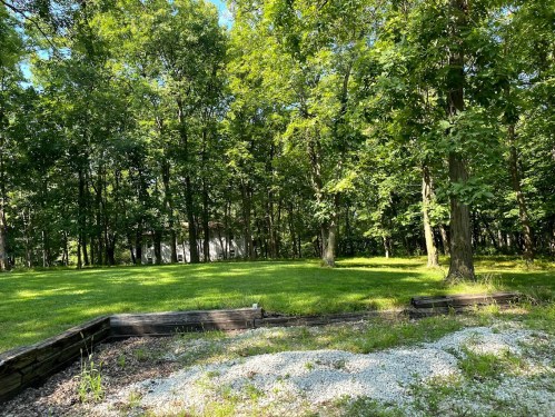 A sunny, green forested area with trees and a grassy clearing, featuring a gravel patch in the foreground.