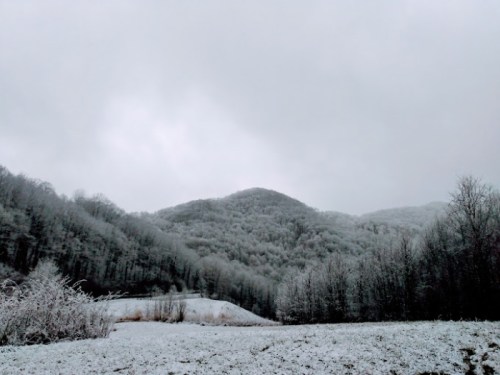 A snowy landscape with misty mountains and bare trees under a cloudy sky.