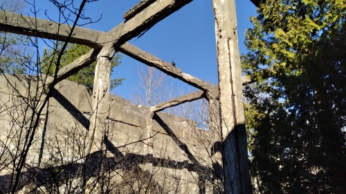 Ruins of a concrete structure surrounded by trees, with a clear blue sky above.