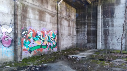 Graffiti art on a concrete wall inside an abandoned building, with a moss-covered floor and scattered debris.
