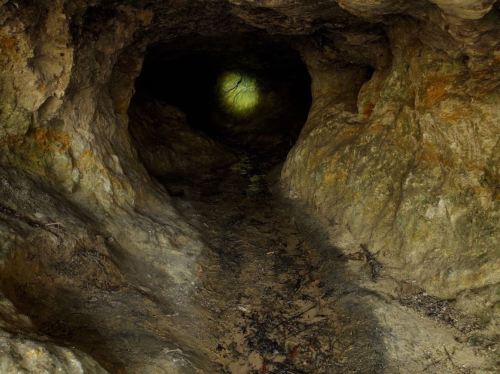 A dark, rocky cave tunnel with a faint light at the end, surrounded by damp earth and textured stone walls.
