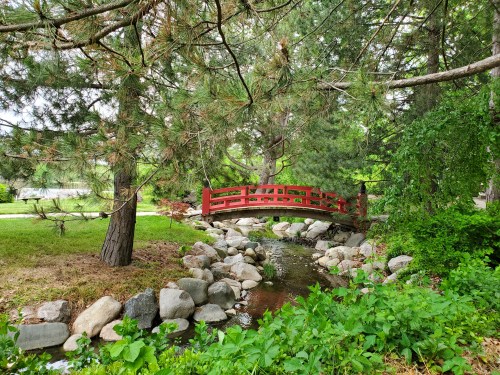 A red wooden bridge arches over a small stream, surrounded by lush greenery and large rocks.