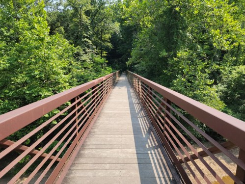 A wooden bridge with metal railings stretches through a lush green forest. Sunlight filters through the trees.