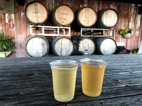 Two cups of beer sit on a wooden table in front of rustic barrels against a weathered wall.