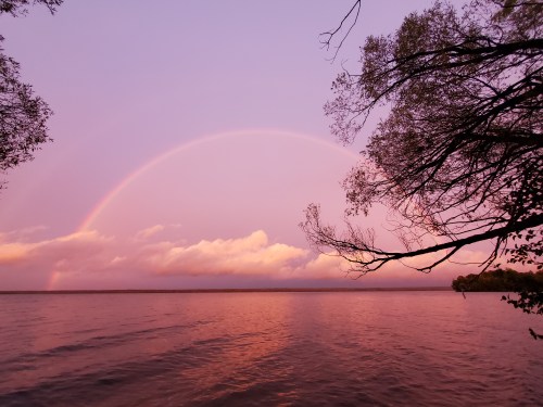 A serene lake at sunset with a vibrant rainbow arching across a pink sky, framed by tree branches.