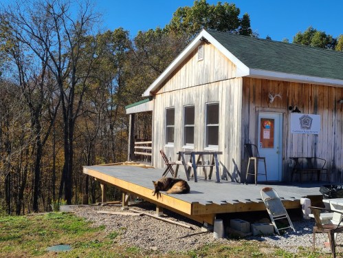 A wooden cabin with a porch in a wooded area, featuring a dog lounging on the deck under a clear blue sky.