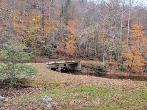 A small bridge over a stream surrounded by autumn foliage and trees in a serene forest setting.