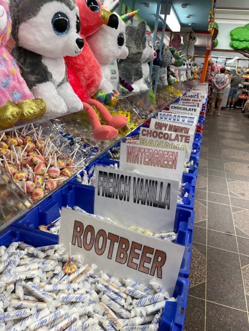 A colorful candy shop display with plush toys and bins labeled with various candy flavors like root beer and wintergreen.