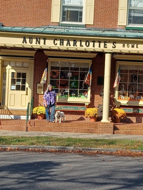 A woman stands outside a shop called "Aunt Charlotte's Home," surrounded by colorful decorations and flowers.