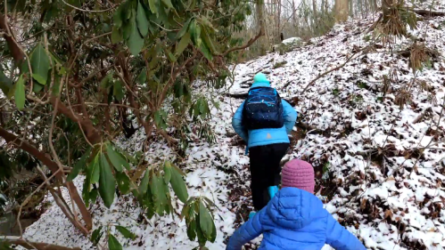 Two children in winter clothing hike up a snowy trail surrounded by greenery.