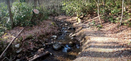 A serene forest scene featuring a small stream flowing over rocks, surrounded by trees and fallen leaves.