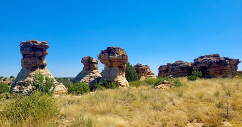Rock formations rise against a clear blue sky, surrounded by dry grass and sparse greenery.