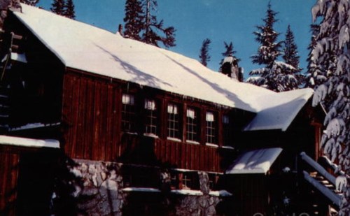 A rustic wooden cabin covered in snow, surrounded by tall evergreen trees under a clear blue sky.
