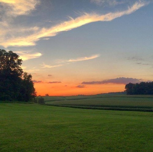 A serene landscape at sunset, featuring rolling green fields and a colorful sky with clouds.