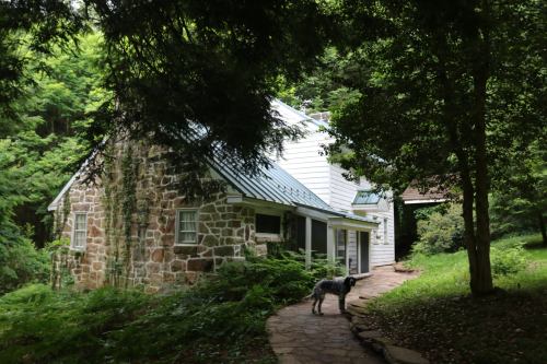 A stone cottage surrounded by greenery, with a dog standing on a path leading to the entrance.
