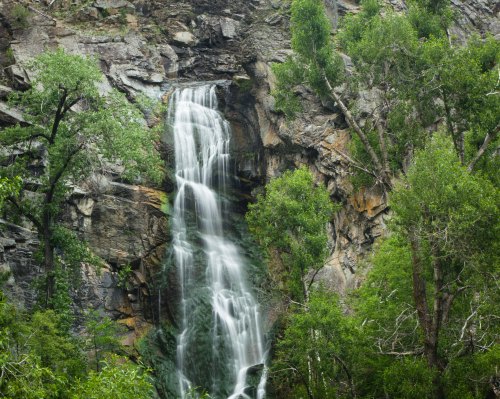 A serene waterfall cascading down rocky cliffs, surrounded by lush green trees and foliage.