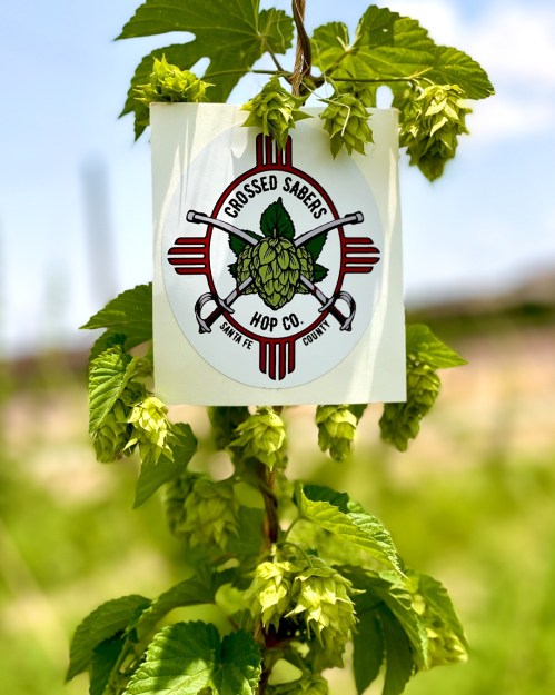 A hop plant with a logo for Crossed Sabers Hop Co. in Santa Fe, New Mexico, attached to a green vine.