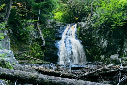 A serene waterfall cascades over rocky terrain, surrounded by lush green trees and fallen logs.