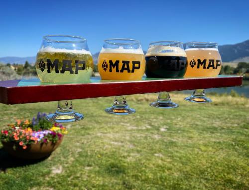 Four glasses of beer on a wooden flight, with a scenic outdoor background and flowers in a pot.