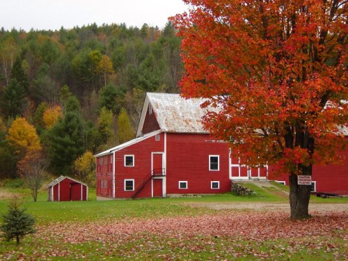 A red barn surrounded by vibrant autumn foliage and fallen leaves, with a backdrop of green hills.