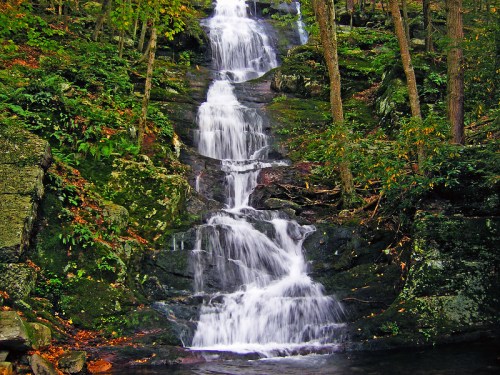 A serene waterfall cascading down rocky steps, surrounded by lush green foliage and trees.