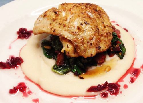 A beautifully plated fish fillet on a bed of sautéed greens, served with creamy puree and a drizzle of sauce.