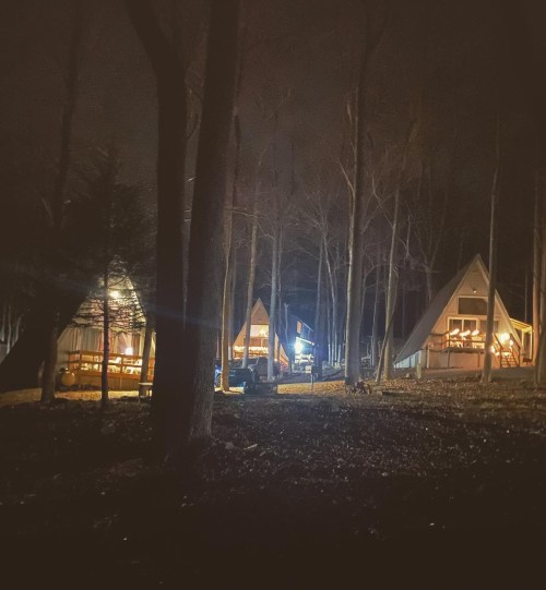 Three A-frame cabins illuminated at night, surrounded by tall, bare trees in a dark forest.