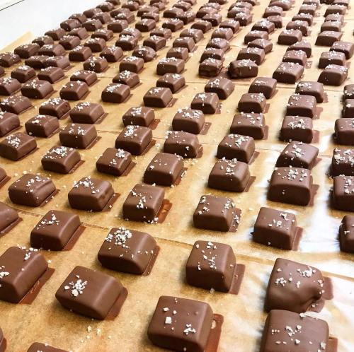 A close-up of rows of chocolate-covered candies sprinkled with sea salt on parchment paper.
