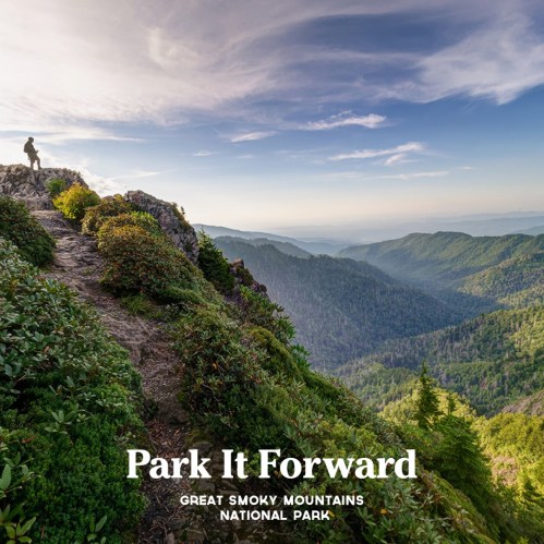 A hiker stands on a rocky ledge overlooking a lush valley in the Great Smoky Mountains National Park.