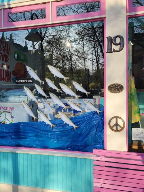 A colorful shop window displays fish decorations against a blue backdrop, with a sign reading "Racism is Wrong."
