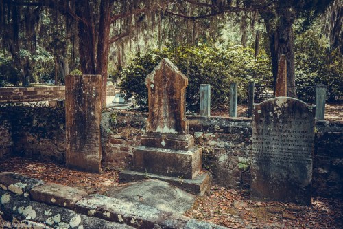 A serene cemetery scene featuring weathered gravestones surrounded by trees and moss.