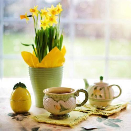 A cheerful spring scene with yellow daffodils, a lemon, and decorative teacups on a table by a window.
