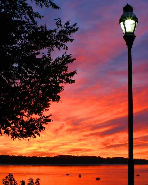 A vibrant sunset over a lake, with silhouetted trees and a lamppost in the foreground.