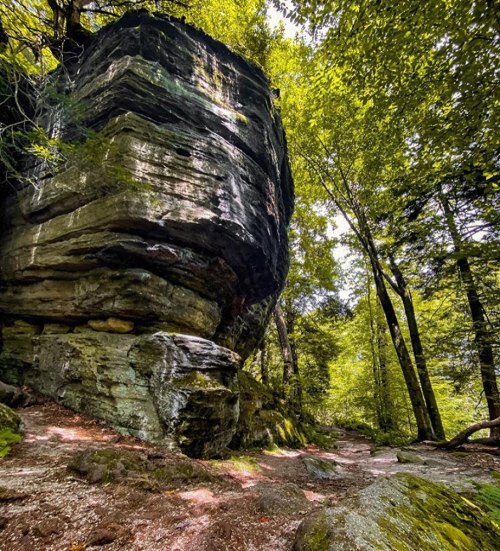 A towering rock formation surrounded by lush green trees in a forested area.