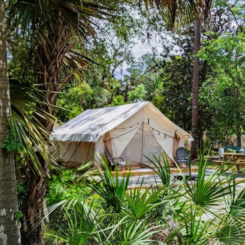 A spacious tent surrounded by lush greenery and palm trees, with a wooden deck and chairs nearby.