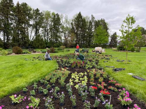 Two people planting flowers in a garden, surrounded by greenery and trees, with a cart in the background.
