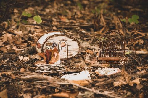 A whimsical arrangement of natural objects, including stones, leaves, and a small wooden structure, on a forest floor.