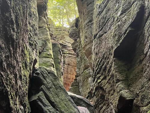 Narrow canyon with towering rock walls and greenery above, creating a serene natural landscape.