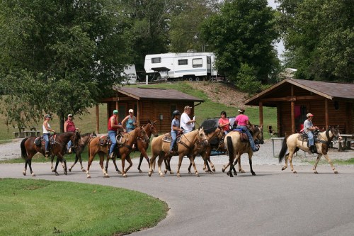 A group of people on horseback walking along a road near cabins and a camper in a wooded area.