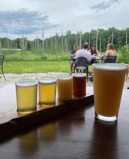 A flight of four craft beers on a wooden board, with a scenic view of a vineyard and people enjoying drinks in the background.