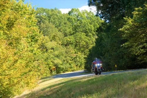A motorcycle rides along a winding road surrounded by lush green trees under a clear blue sky.
