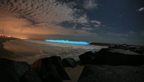 Bioluminescent waves glow blue against a dark night sky, with clouds and distant city lights in the background.