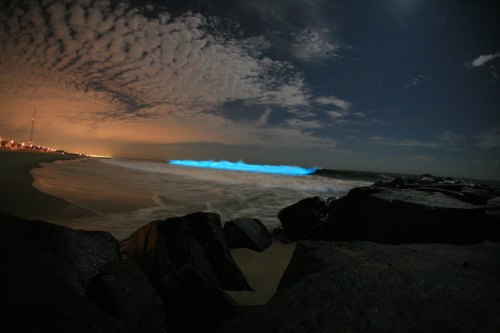 A night beach scene with glowing blue waves, rocky shore, and a cloudy sky illuminated by distant city lights.