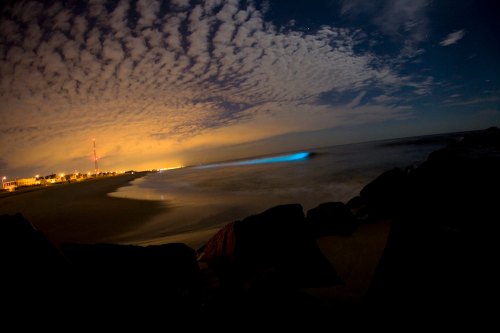A serene beach scene at night with clouds, distant lights, and a glowing blue wave breaking on the shore.